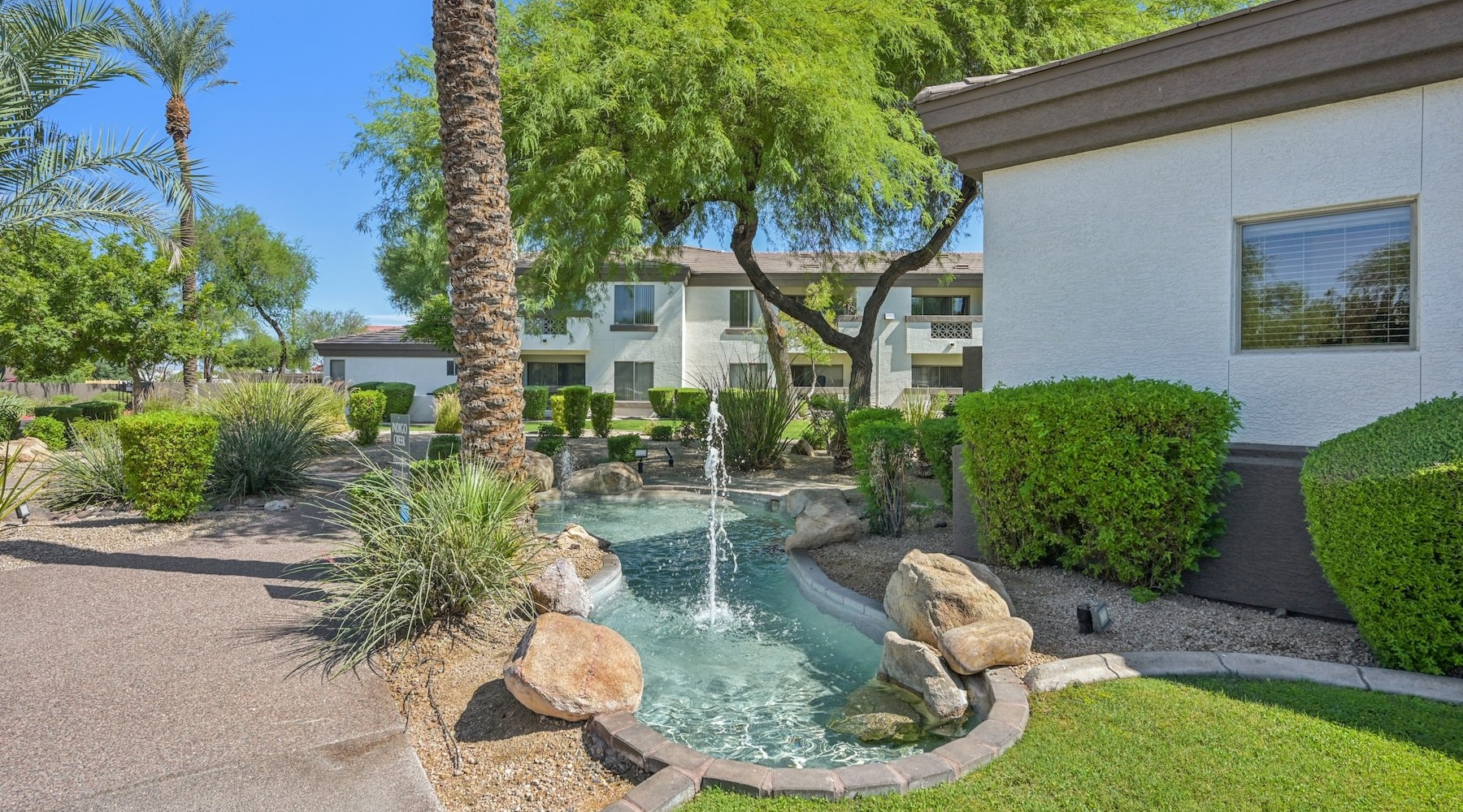 a small pond in a backyard