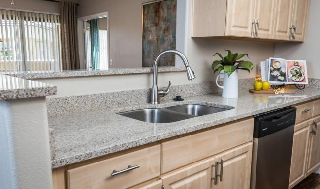 a kitchen with a sink and a plant