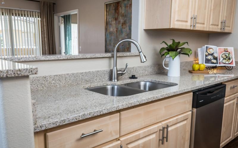 a kitchen with a sink and a plant